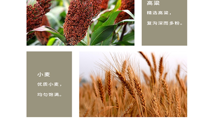 2022年10月360推廣二級(jí)頁面_9_1